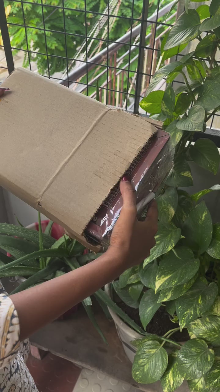 Classic Money Box 🏦💰